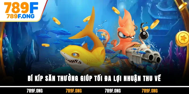 Bí kíp săn thưởng giúp tối đa lợi nhuận thu về