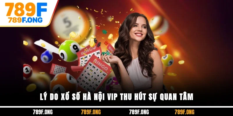 Lý do xổ số Hà Nội VIP thu hút sự quan tâm