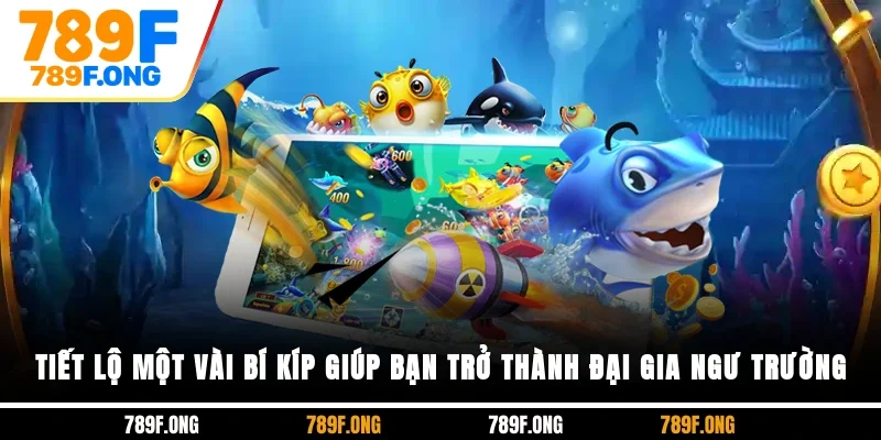 Tiết lộ một vài bí kíp giúp bạn trở thành đại gia ngư trường